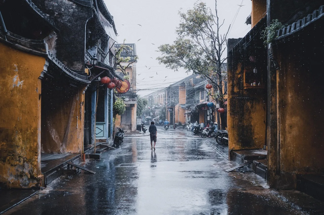person, vej, gade, bygninger, regn, regnfuld, by, gå, natur, ensom, hoi an, vietnam