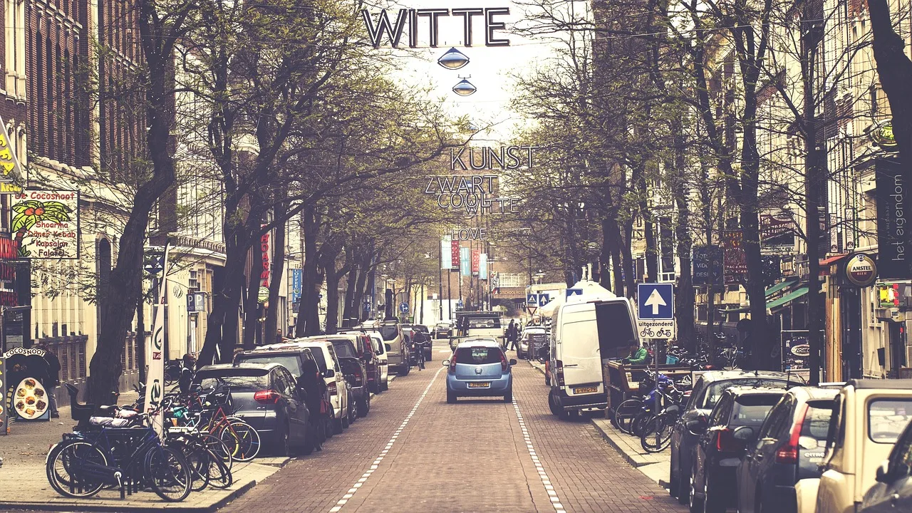 witte de med, witte-de-with, rotterdam, gade, by, vej, biler, holland